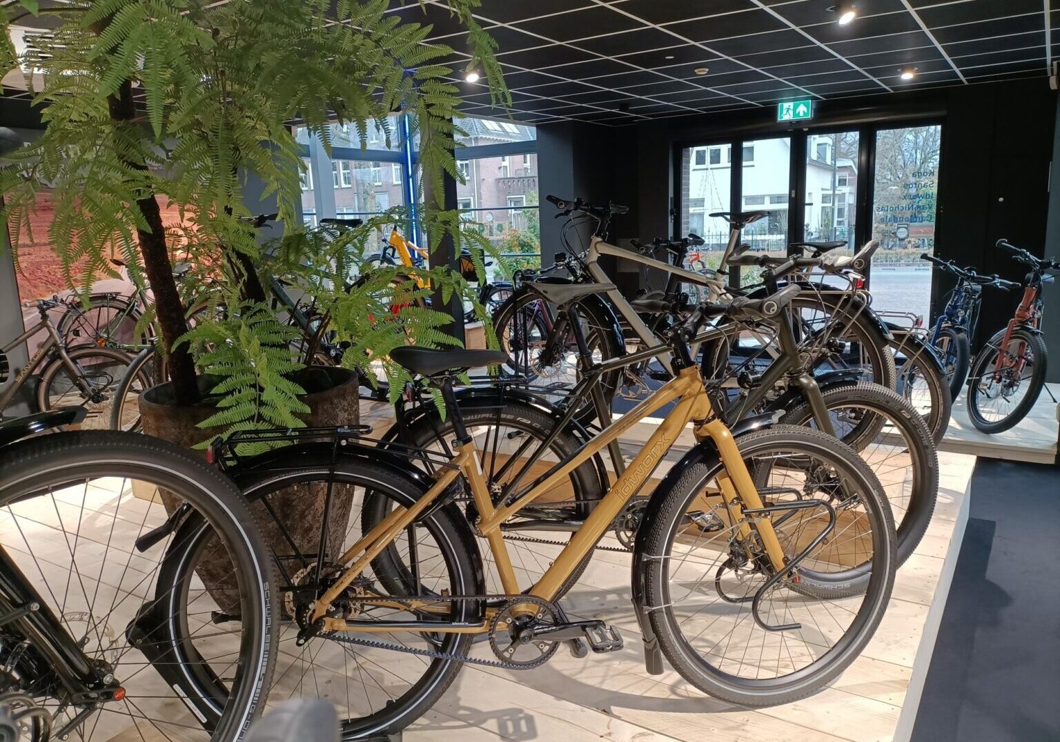 colourful showroom at Bongers Bikes in Apeldoorn